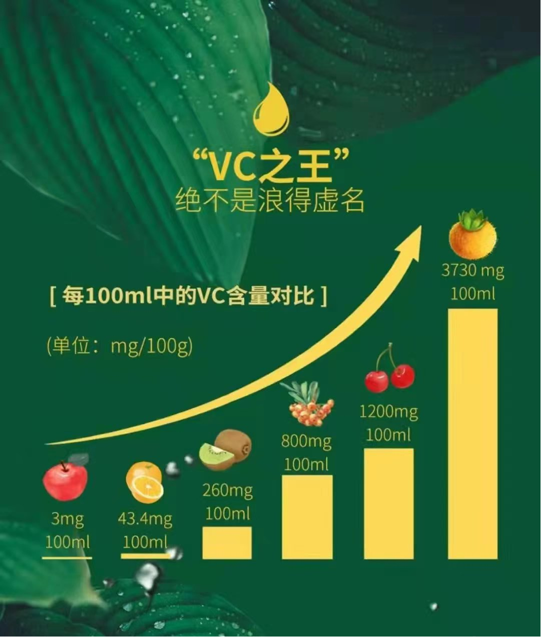 健康常识——刺梨营养成分